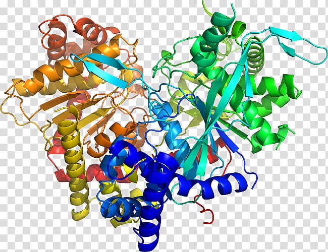 Ligand Docking Thermodynamic free energy , Glycogen Phosphorylase transparent background PNG clipart