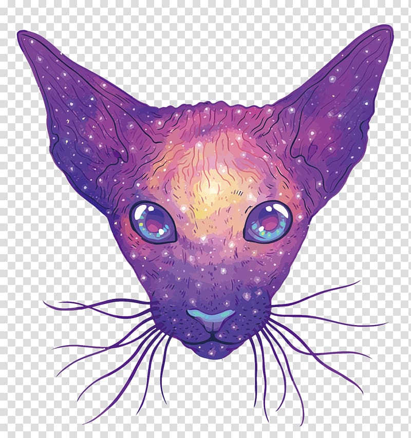 Cat Euclidean , starry cat transparent background PNG clipart