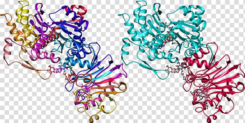 Macromolecule Protein Nucleic acid Chemistry, Crizotinib transparent background PNG clipart