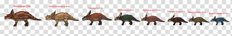 Triceratops Torosaurus Chasmosaurus Horned dinosaurs Styracosaurus, dinosaur transparent background PNG clipart