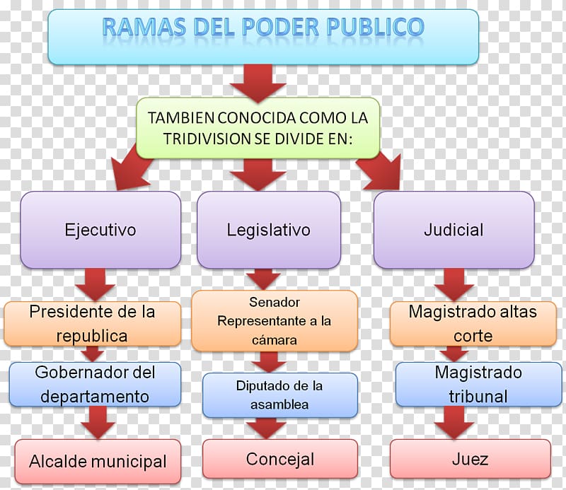 Government of Colombia Executive Branch Poder públic Judiciary, tree branches transparent background PNG clipart