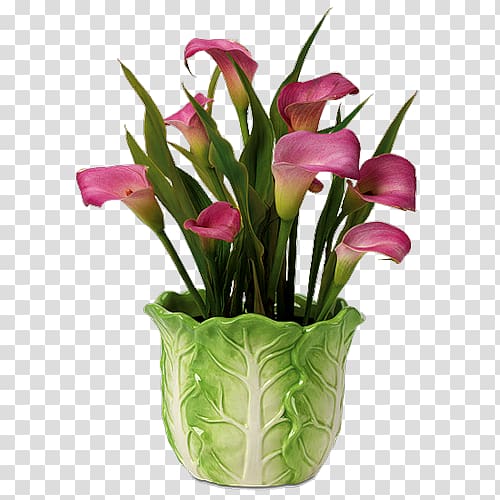Floral design Arum-lily Cut flowers Calyx & Corolla, Inc., flower transparent background PNG clipart