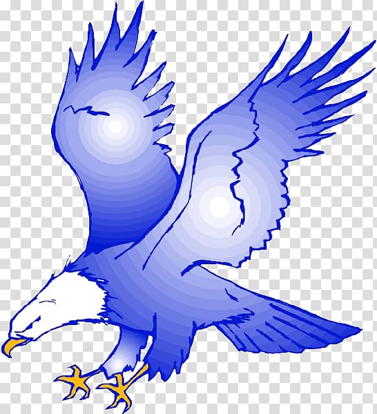 Eagle , Blue eagle transparent background PNG clipart