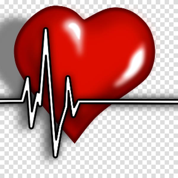Acute myocardial infarction Cardiac muscle Heart Ailment, heart transparent background PNG clipart