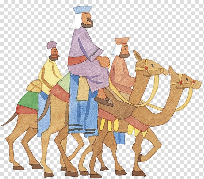 Camel Cartoon u99ddu5cf0, A camel man transparent background PNG clipart