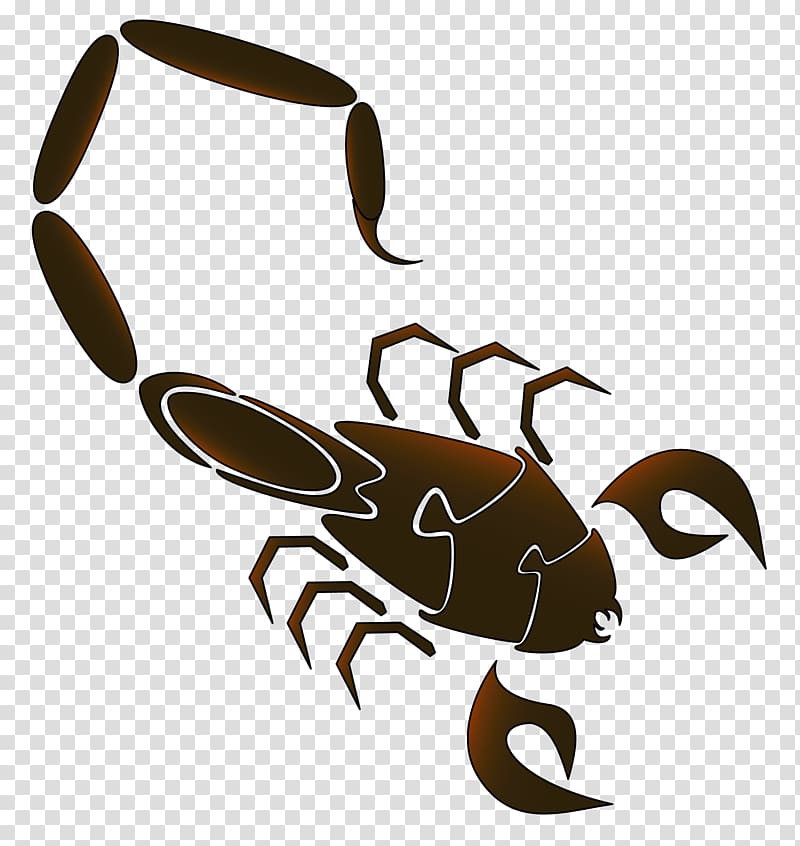 Insect Symbol Decapods Earth, Theology transparent background PNG clipart