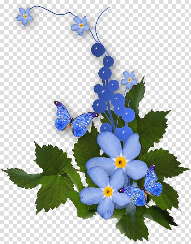 Scorpion grasses Portable Network Graphics Flower Digital , flower transparent background PNG clipart