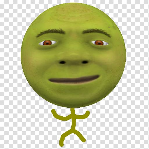 Shrek PNG transparent image download, size: 1116x1600px