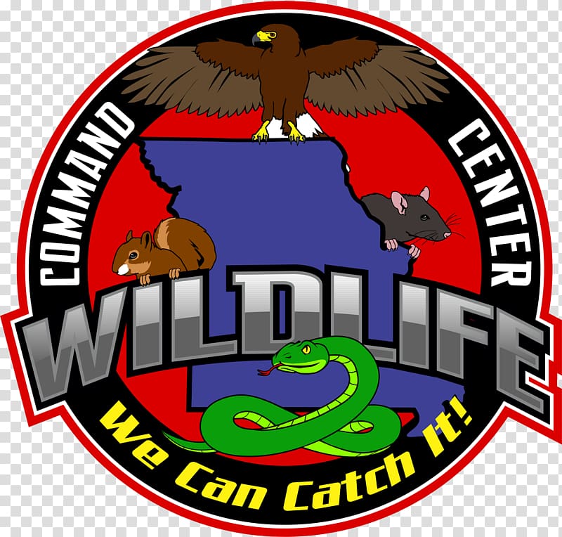 Wildlife Command Center, Kansas City Nuisance wildlife management Coyote, Bird transparent background PNG clipart