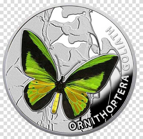 Butterflies and moths Silver coin Insect wing Nature, Papilio Machaon transparent background PNG clipart