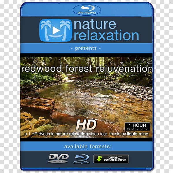 Blu-ray disc 4K resolution Ultra-high-definition television 1080p, redwood transparent background PNG clipart