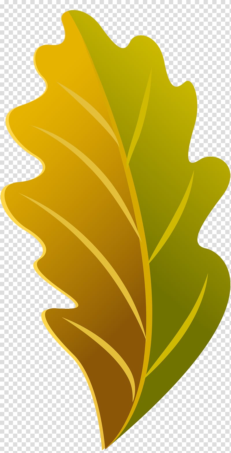 Plant Leaf Flower Font, banana leaf transparent background PNG clipart