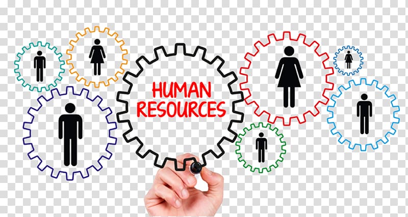 human resources transparent background PNG clipart