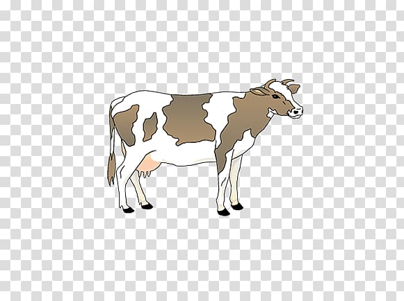 Calf Drawing Taurine cattle cow , prostate gland transparent background PNG clipart