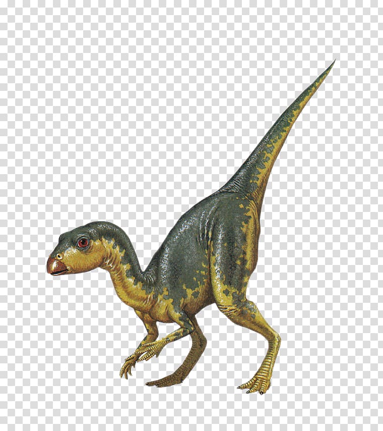 Tyrannosaurus Dinosaur Raster graphics , Age of Dinosaurs transparent background PNG clipart