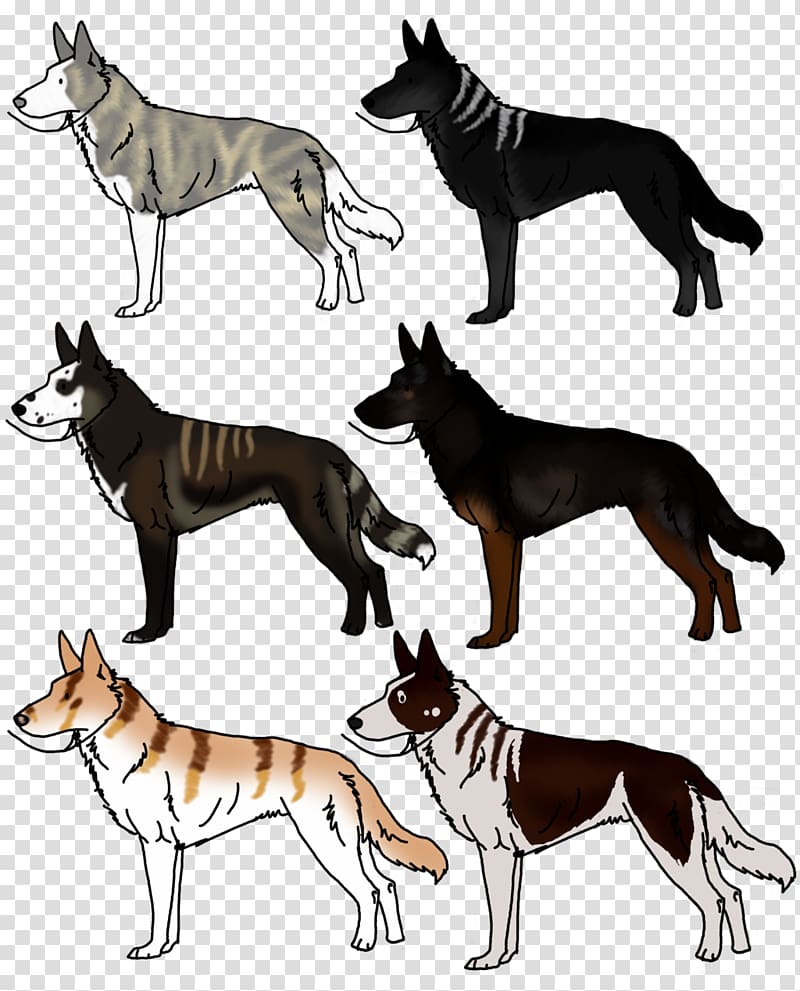 Dog breed Tail Wildlife, Dog transparent background PNG clipart