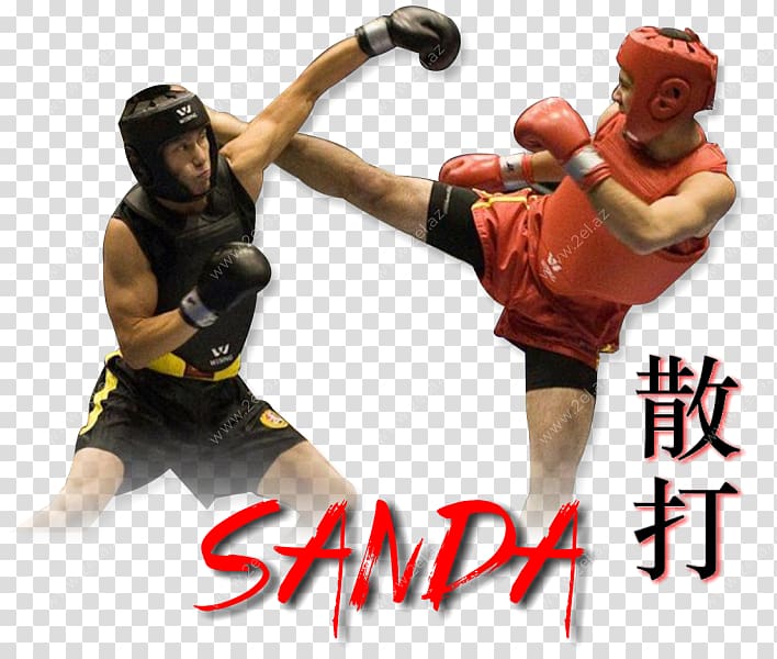 Sanshou Wushu Tai chi Chinese martial arts, others transparent background PNG clipart