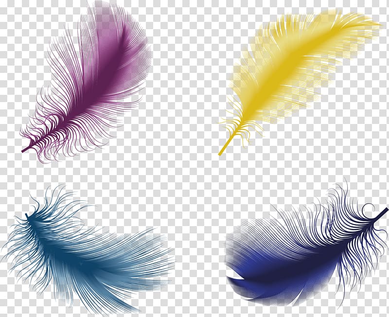 The Floating Feather Bird Euclidean , Color feather material transparent background PNG clipart