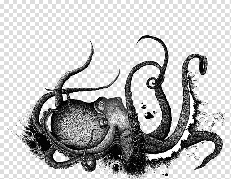 Octopus Drawing /m/02csf White Font, bruises transparent background PNG clipart