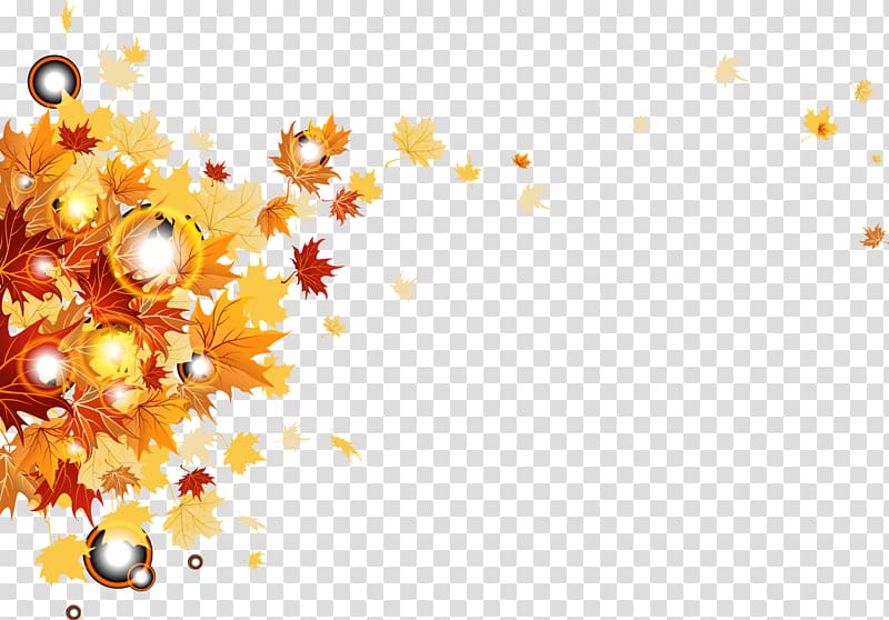 , Autumn leaves transparent background PNG clipart