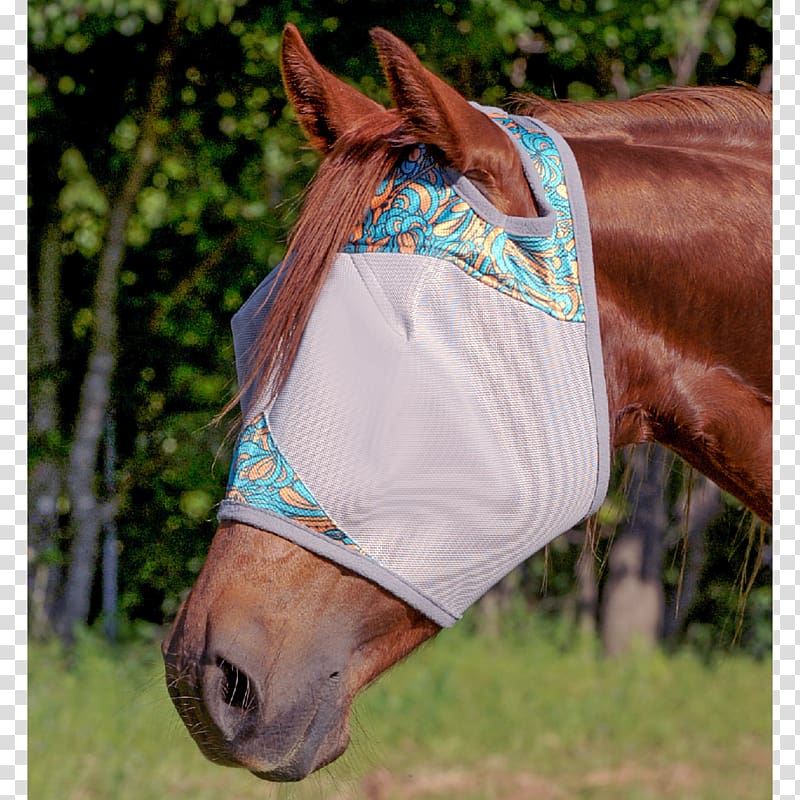 Horse Fly mask Halter Bridle, horse transparent background PNG clipart