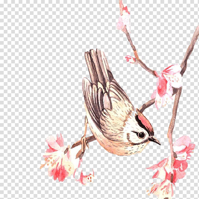 bird on tree branch illustration, Ottoman poetry Publishing Poetry of Turkey Book, Chinese Classical bird and flower transparent background PNG clipart