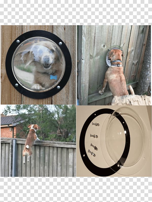 Dog Pet fence Cat Window, Dog transparent background PNG clipart