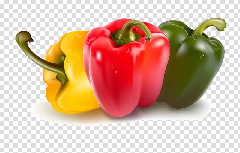 Bell pepper Capsicum Vegetable , chili transparent background PNG clipart