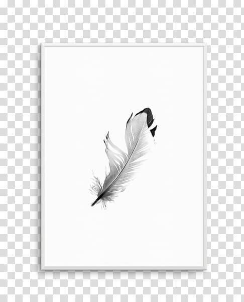 Feather Tail White, Floating feather transparent background PNG clipart