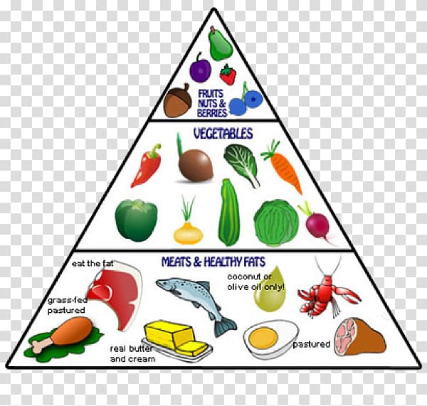 Paleolithic diet Food pyramid Eating, health transparent background PNG clipart