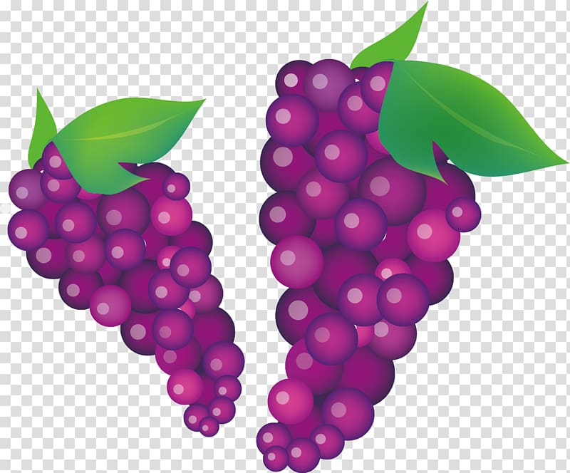 Common Grape Vine Wine , Autumn Life Icon transparent background PNG clipart