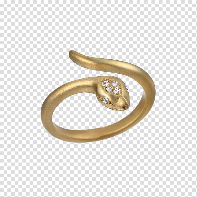 Ring Body Jewellery World Wide Web Snakes, ouroboros silver rings transparent background PNG clipart