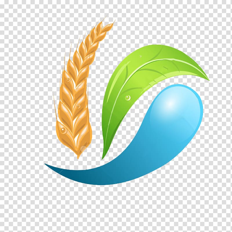 water, leaf, and grain , Agriculture Logo Symbol , wheat transparent background PNG clipart