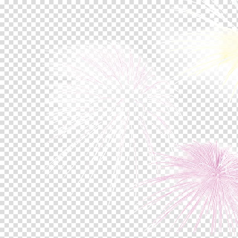 Petal Pattern, New Year fireworks transparent background PNG clipart