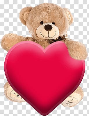 Teddy bear transparent background PNG clipart