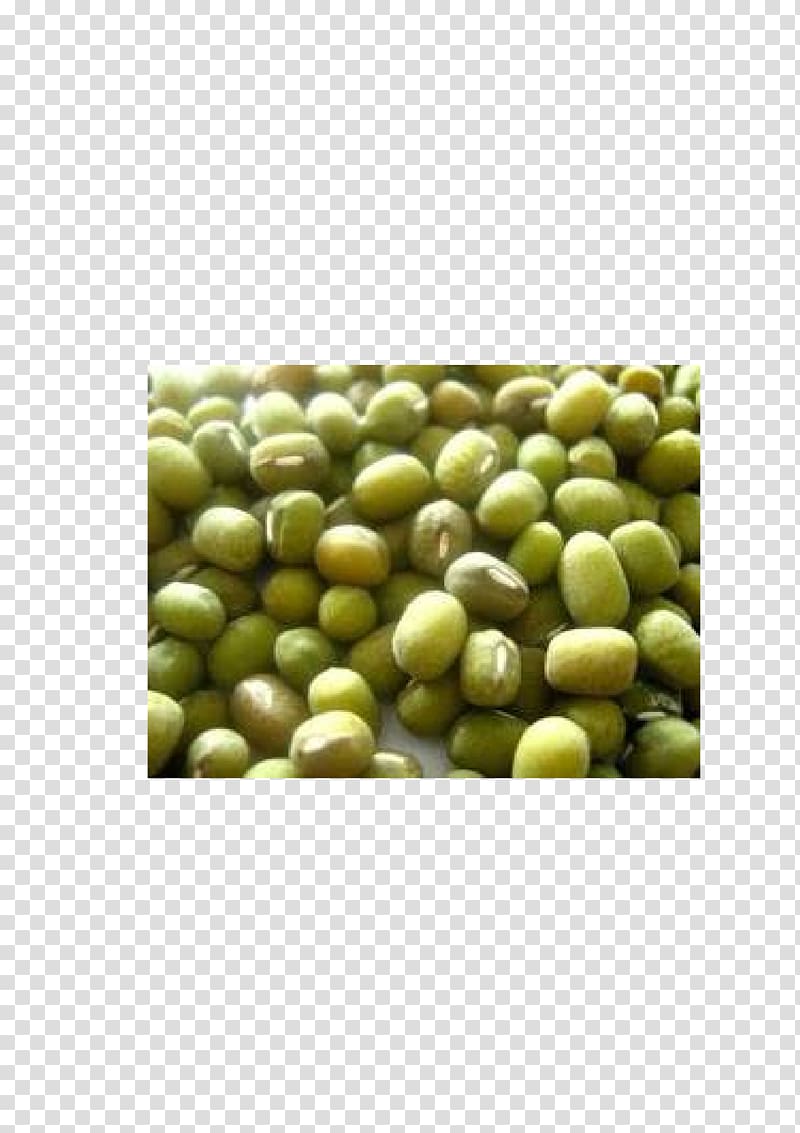 Mung bean Vegetarian cuisine Superfood, kacang hijau transparent background PNG clipart