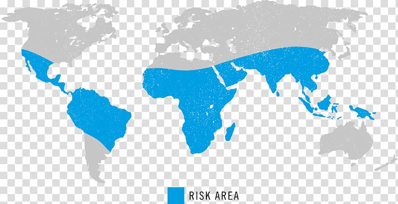 World map Globe Old World, Chikungunya Virus Infection transparent background PNG clipart