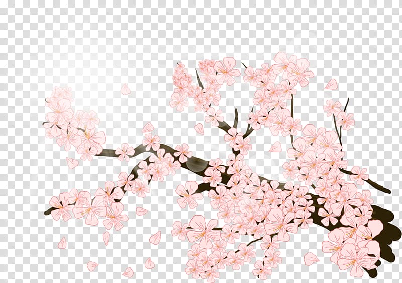 cherry blossom illustration, Cherry blossom Illustration, Gorgeous plum blossom transparent background PNG clipart