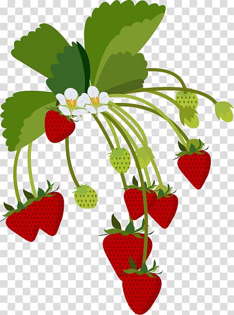 Strawberry Portable Network Graphics Illustration Daifuku, transparent background PNG clipart