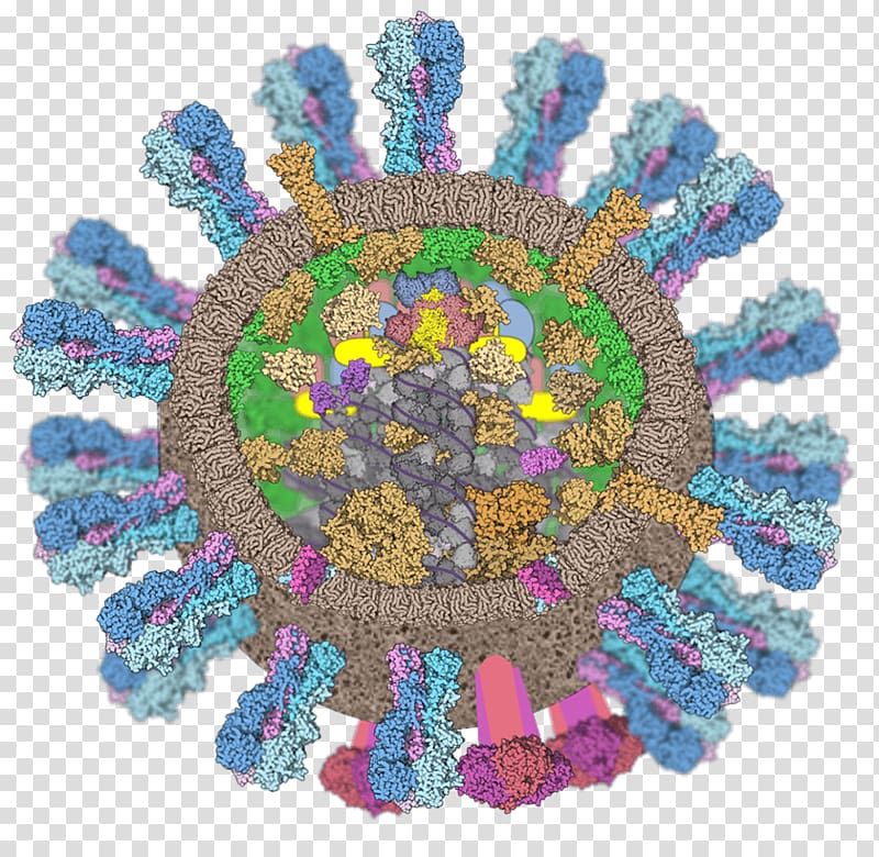 Influenza vaccine Influenza A virus, others transparent background PNG clipart