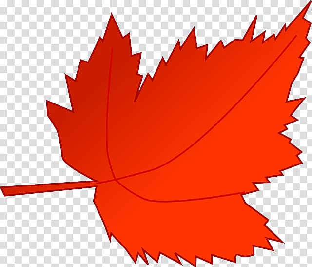 Autumn leaf color , tree timeline transparent background PNG clipart