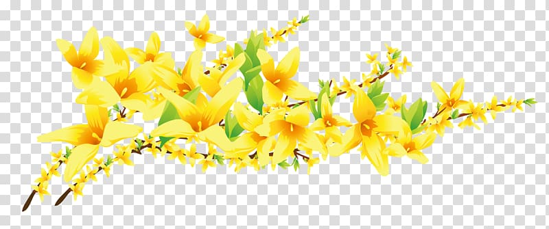 yellow petaled flowers art, Computer Icons Adobe Illustrator Flower, floral flowers transparent background PNG clipart