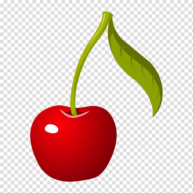 Cherry , Cherry transparent background PNG clipart