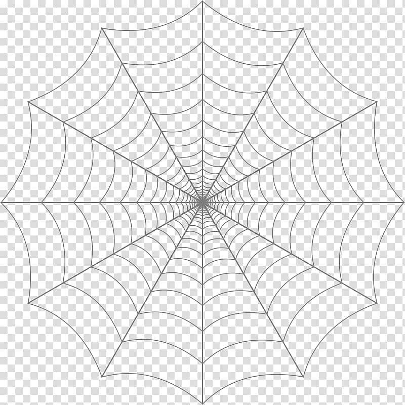 Spider web , spider web transparent background PNG clipart