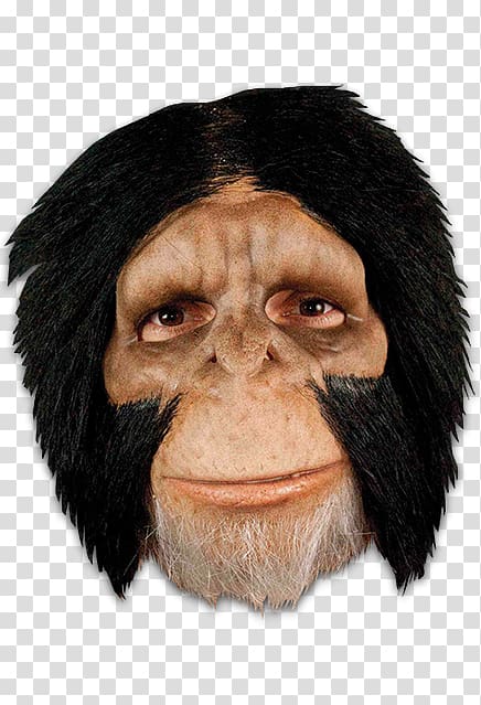 Latex mask Common chimpanzee Party City Halloween, chimp transparent background PNG clipart