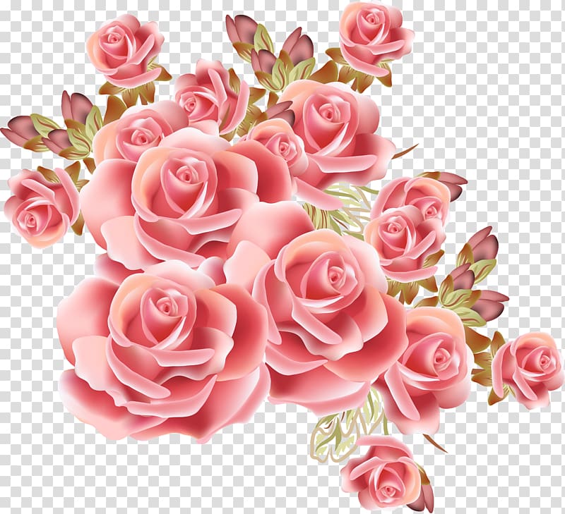 pink rose illustration, Rose Flower Drawing , Dream pink rose pattern transparent background PNG clipart