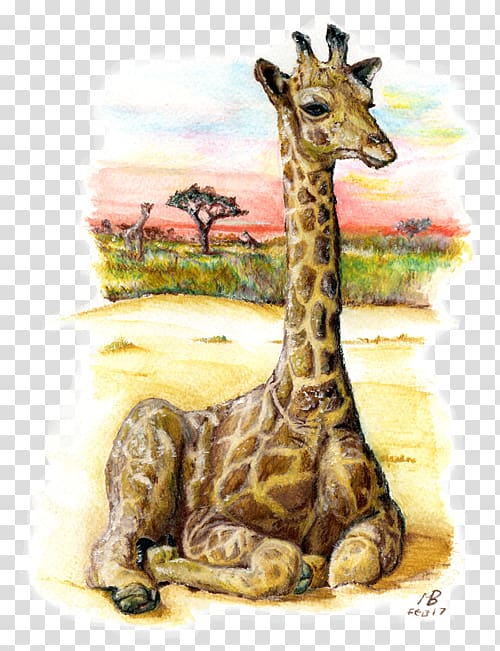 Giraffe Terrestrial animal Wildlife Fauna, watercolour animals transparent background PNG clipart