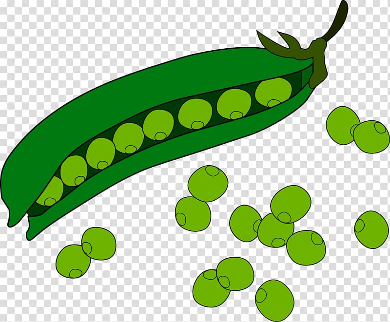 Pea Fruit , peas transparent background PNG clipart