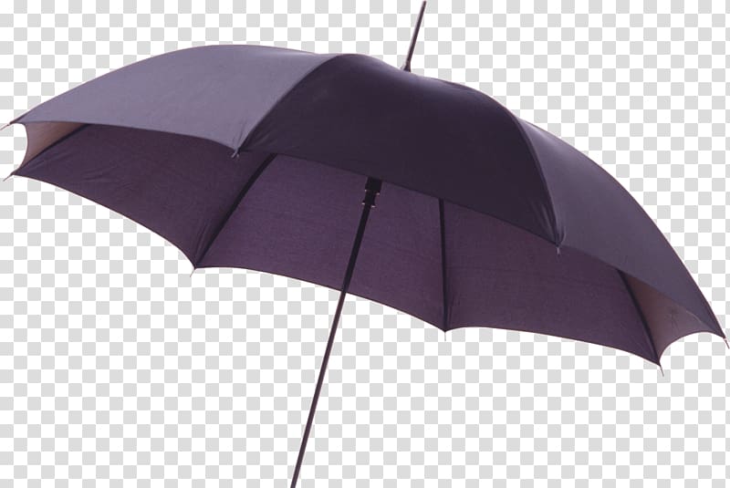 Umbrella Desktop Digital , umbrella transparent background PNG clipart