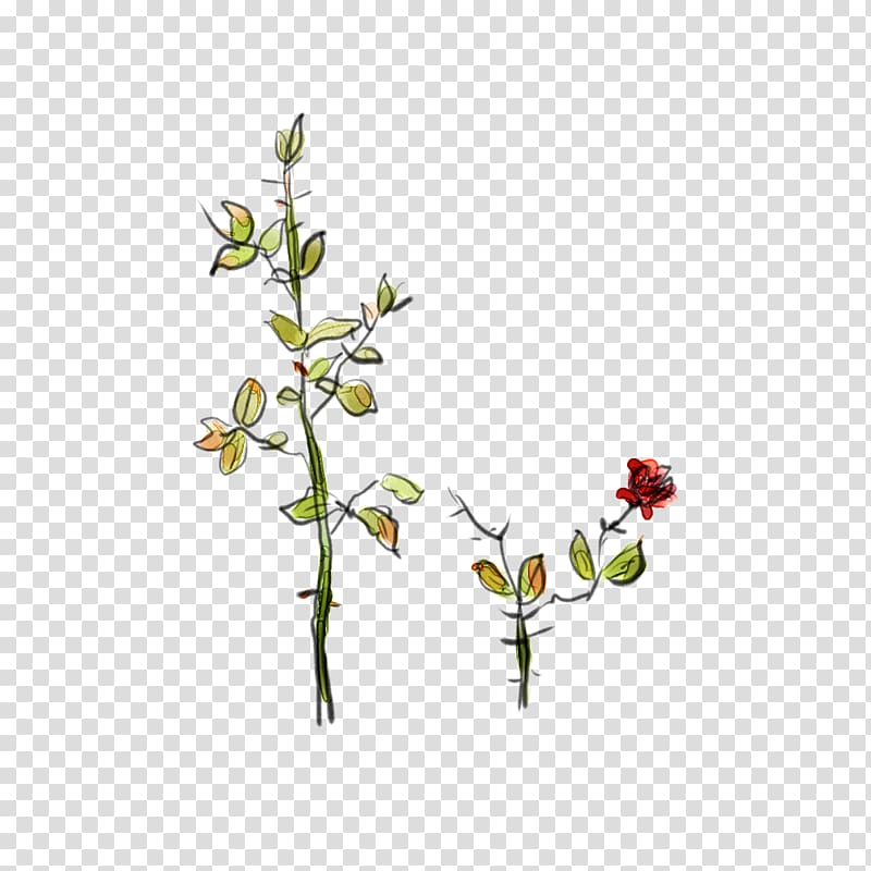 4K resolution , Rose transparent background PNG clipart